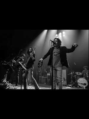 آثار درود زاغ - The Magpie Salute
