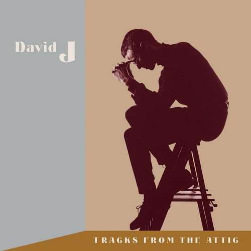 David J - Tracks From the Attic
