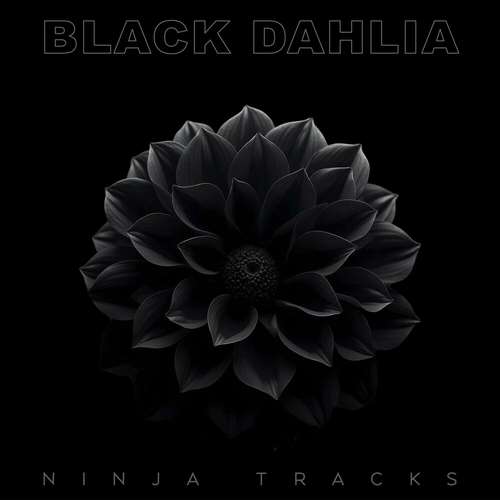 آلبوم Black Dahlia 