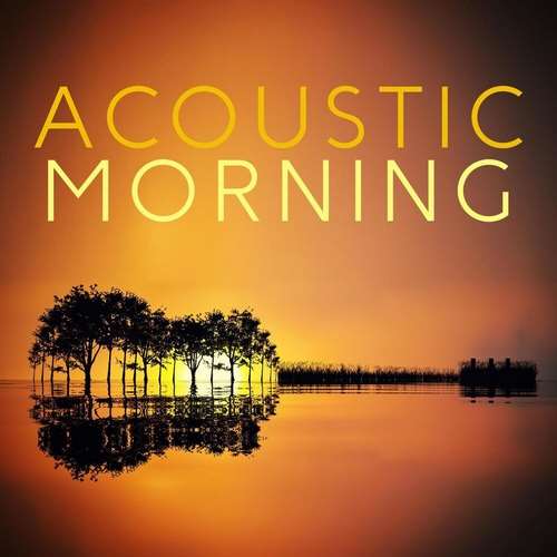 Various Artists - Acoustic Morning