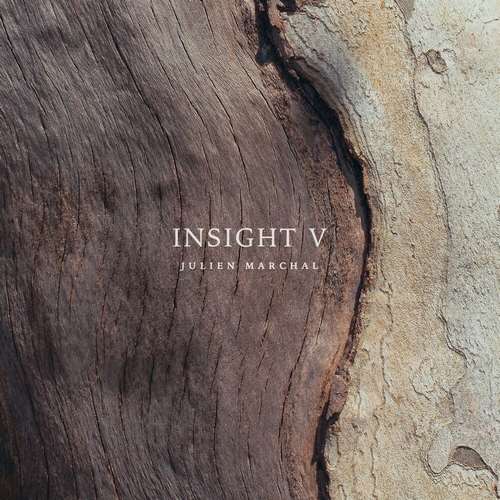Julien Marchal - Insight V