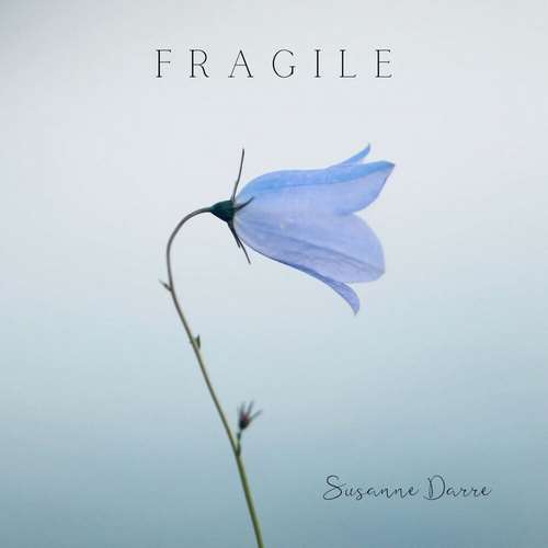 آلبوم Fragile 