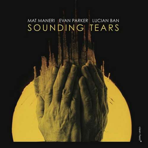 Mat Maneri - Sounding Tears
