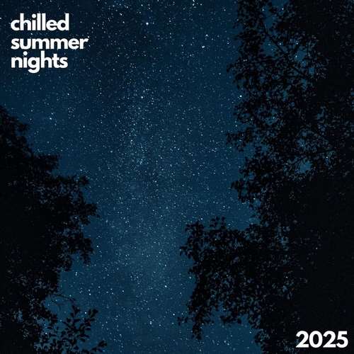 Various Artists - Chilled Summer Nights 2025