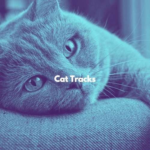 آلبوم Cat Tracks 