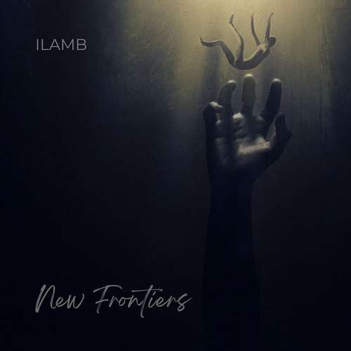 ILAMB - New Frontiers