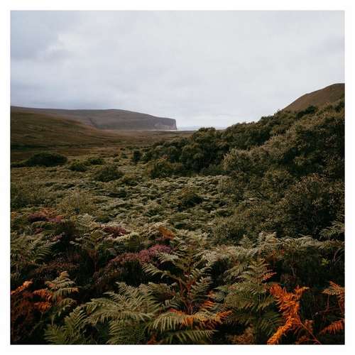 Gawain Erland Cooper - Berriedale
