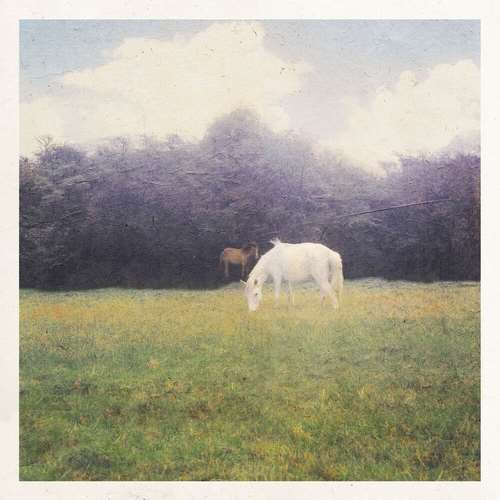 weloveyouwinona - Home
