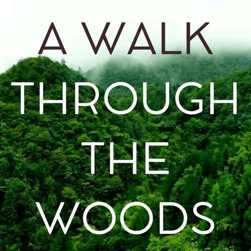 Various Artists - A Walk Through the Woods