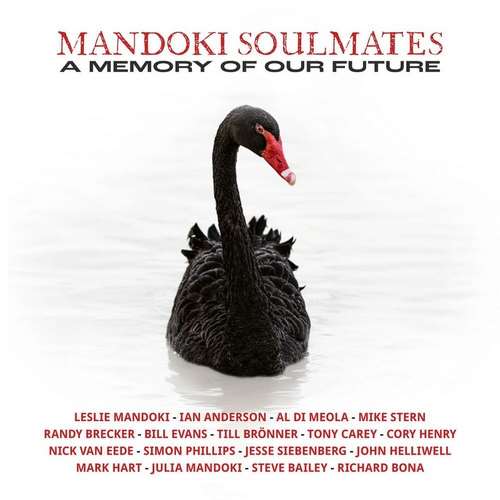 ManDoki Soulmates - A Memory of Our Future