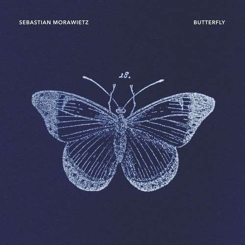 Sebastian Morawietz - Butterfly