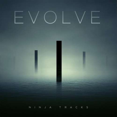 Ninja Tracks - Evolve