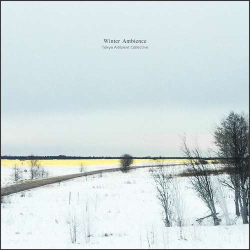 Tokyo Ambient Collective - Winter Ambience