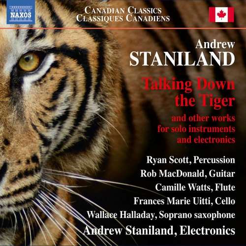 Andrew Staniland - Andrew Staniland: Talking Down the Tiger