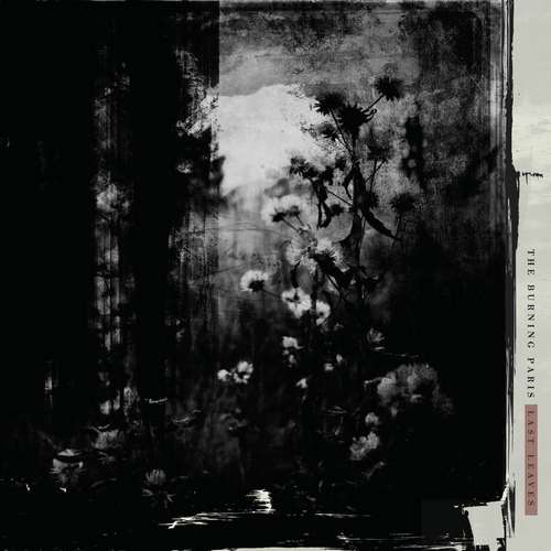 The Burning Paris - Last Leaves