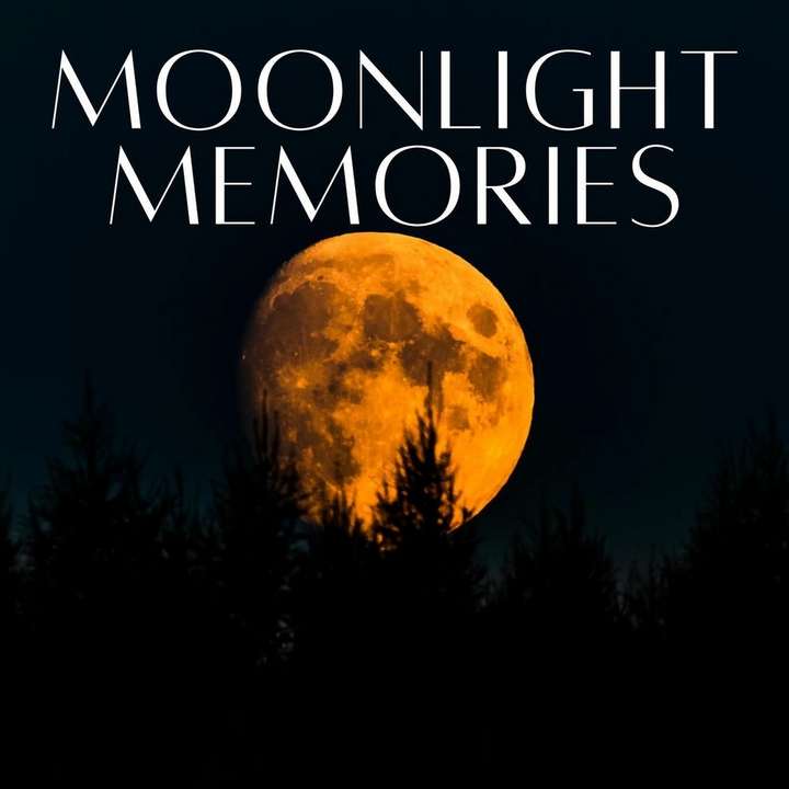آلبوم Moonlight Memories 