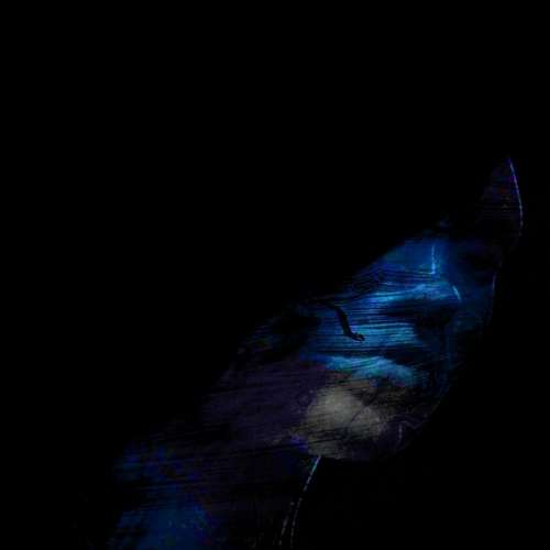 آلبوم The Undiscovered Country 