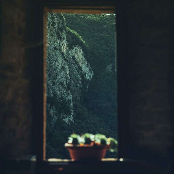 Olivia Belli - Intercosmia, Vol. 1