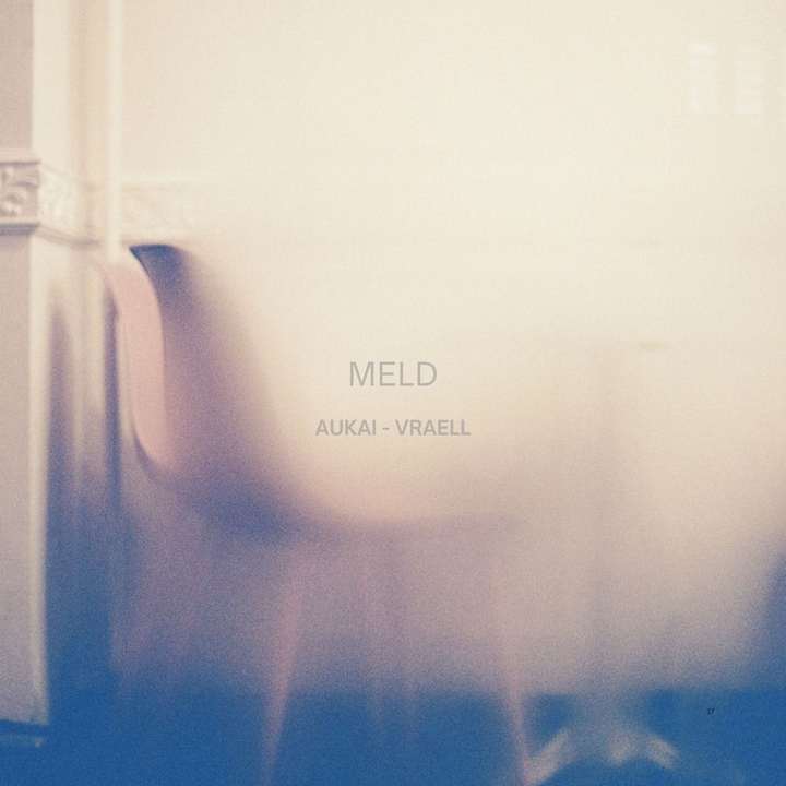 Aukai - Meld