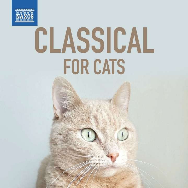 Various Artists - Classical For Cats