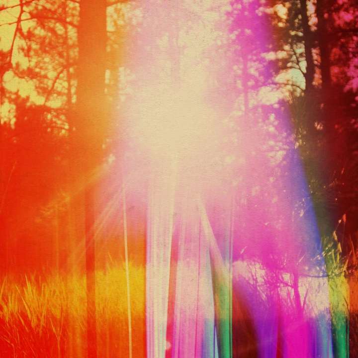 Hollie Kenniff - The Last Bright Place