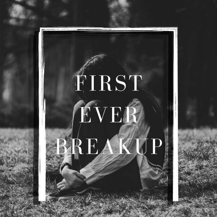 Various Artists - First Ever Breakup