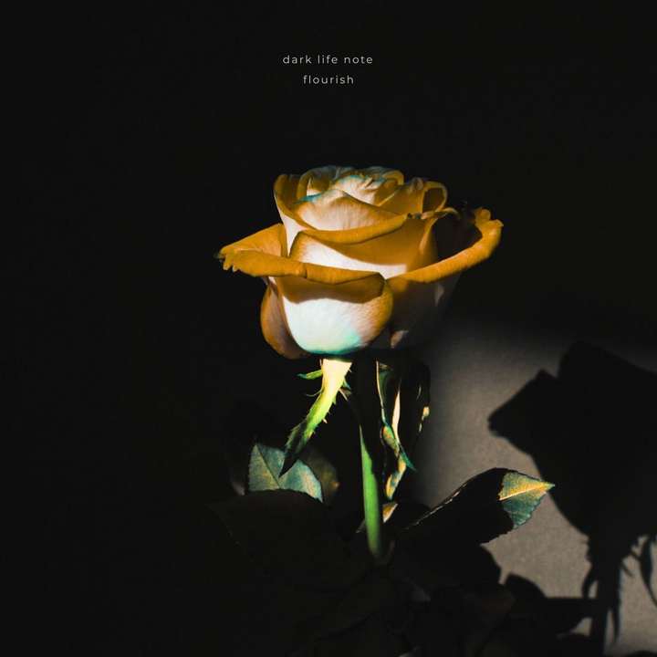Dark Life Note - Flourish