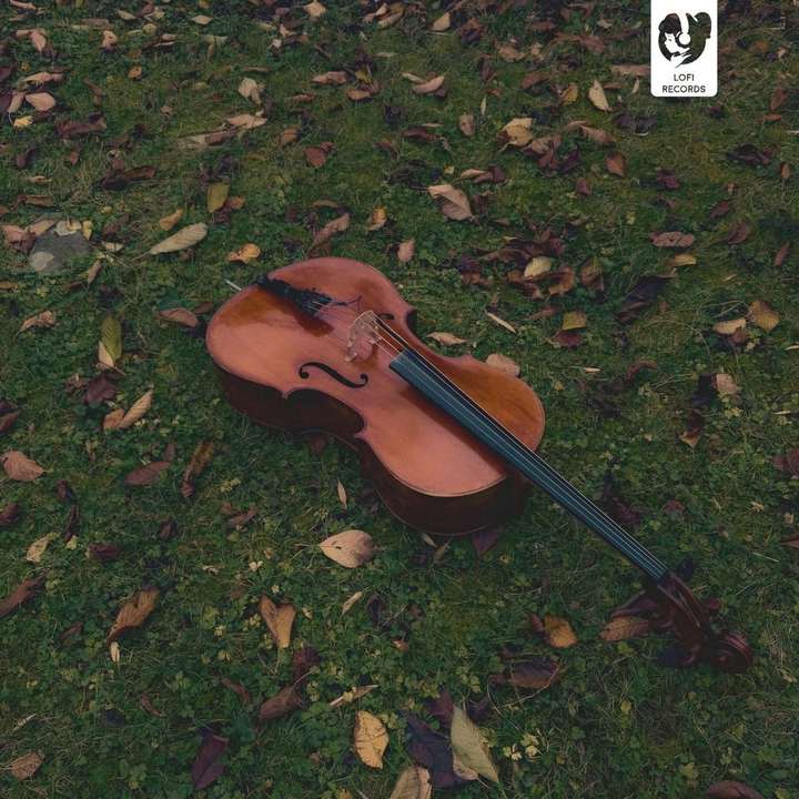 HOKØ - Cello Melodies