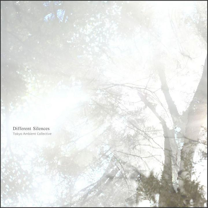 Tokyo Ambient Collective - Different Silences