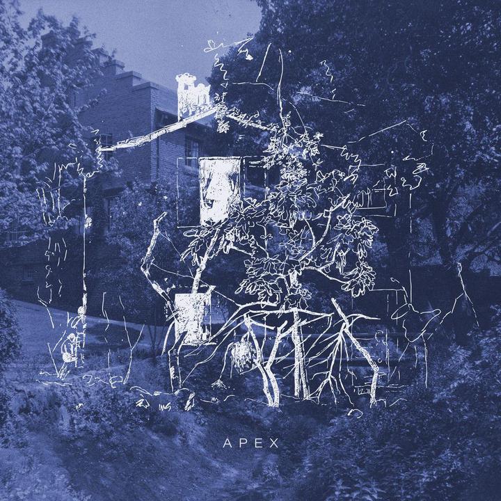 Pieter Savenberg - Apex