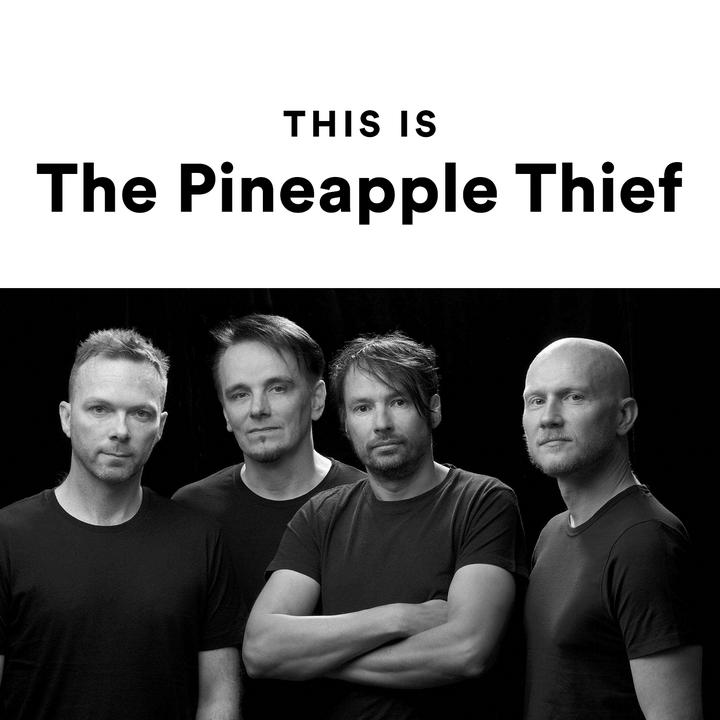The Pineapple Thief - This Is The Pineapple Thief