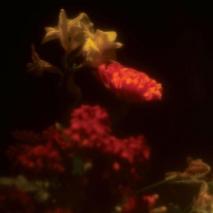 Gregoire Gerstmans - Hypnagogie