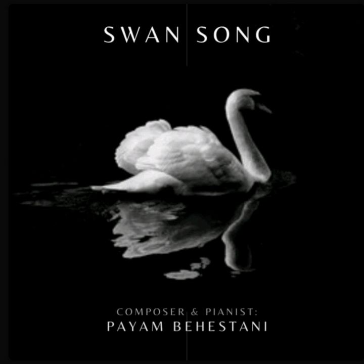 Payam Behestani - Swan Song