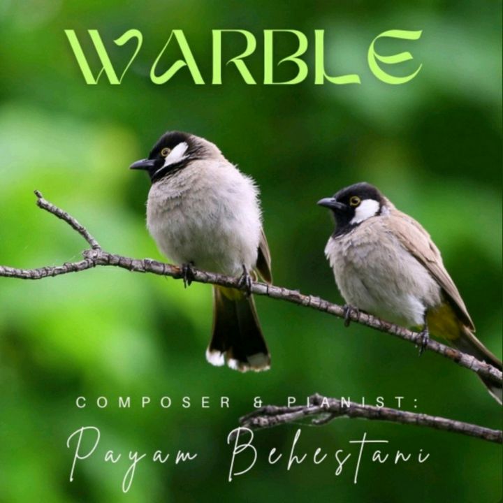 Payam Behestani - Warble