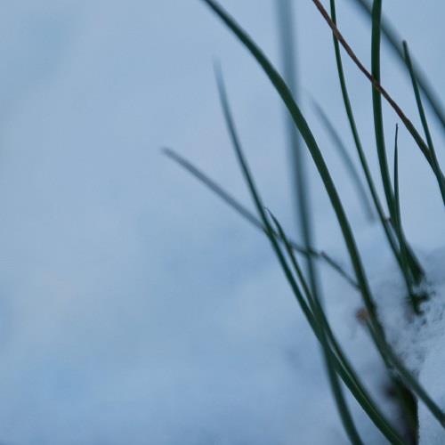 Halo - Late Winter Tales