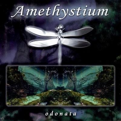 Amethystium - Odonata