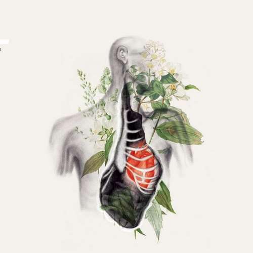 Andrey Kiritchenko - Overt