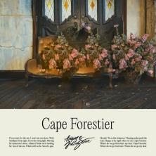 دانلود آلبوم موسیقی Angus-and-Julia-Stone-Cape-Forestier