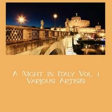دانلود آلبوم موسیقی Various-Artists-A-Night-in-Italy-Vol-1
