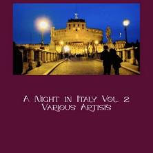 دانلود آلبوم موسیقی Various-Artists-A-Night-in-Italy-Vol-2