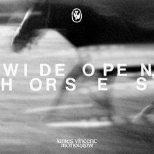 دانلود آلبوم موسیقی James-Vincent-McMorrow-Wide-Open-Horses