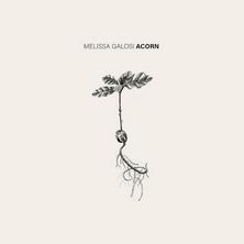 دانلود آلبوم موسیقی Melissa-Galosi-Acorn