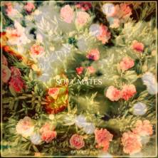 دانلود آلبوم موسیقی Da-Voile-Soul-Mates