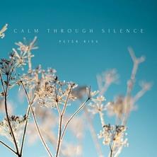 دانلود آلبوم موسیقی Peter-Ries-Calm-Through-Silence