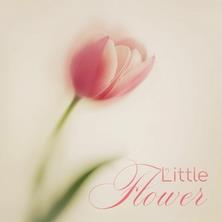 دانلود آلبوم موسیقی Finn-Helios-Relaxing-Space-Little-Flower