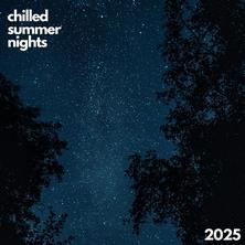 دانلود آلبوم موسیقی VA-Chilled-Summer-Nights-2025