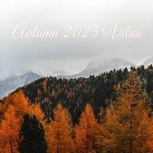 دانلود آلبوم موسیقی VA-Autumn-2025-Vibes