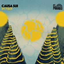 آلبوم In Flux اثر Causa Sui