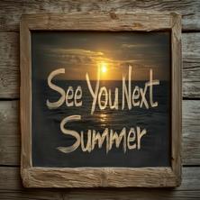 دانلود آلبوم موسیقی VA-See-You-Next-Summer
