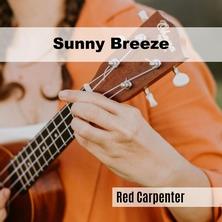 دانلود آلبوم موسیقی Red-Carpenter-Sunny-Breeze
